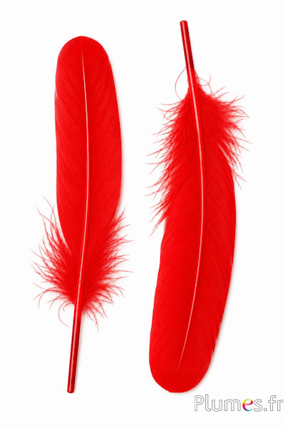 Oca - 15-21 cm, sinistra e destra - rosso